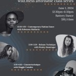 sign up for an affordable class series with wild.mess