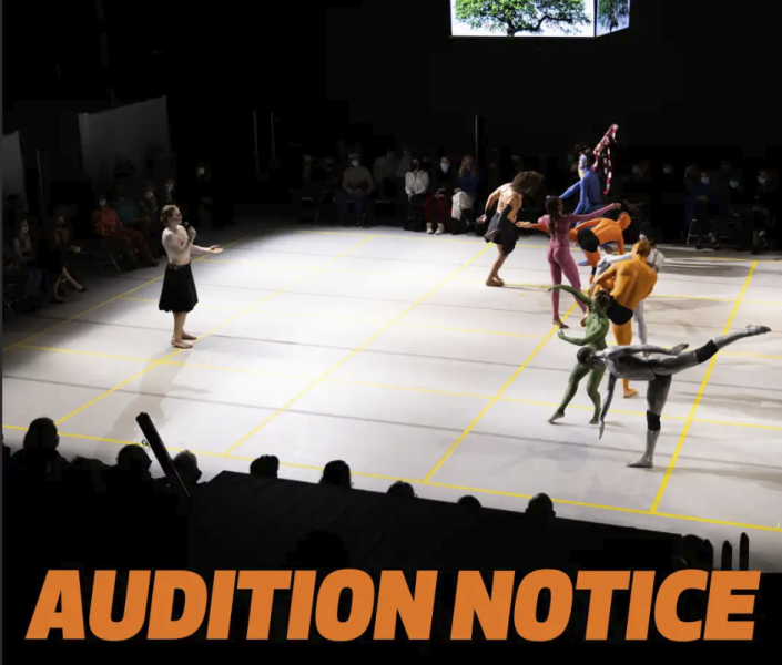 painted bodies in white, green, blue, orange, yellow, pink hit various poses as one singular figure in a skirt raises his arms 