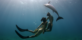 Dance Films Screening