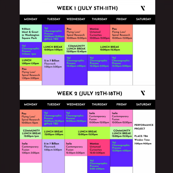 An image of the schedule for the summer intensive