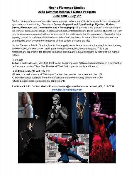 Noche Flamenca’s summer intensive dance program in New York City is designed to provide a global approach to dance training.