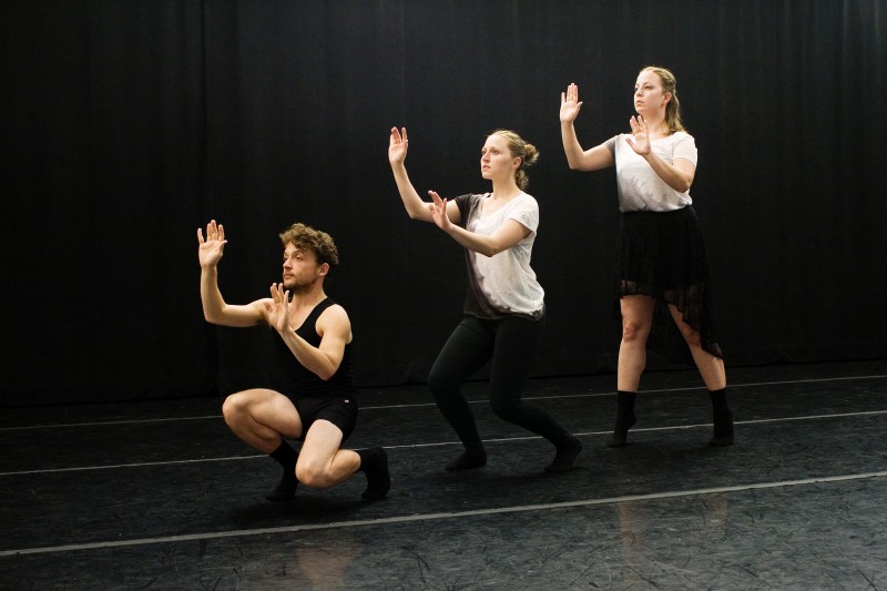 Blackbird Dance- Oiseau Noir Dance Workshop Sign Up!