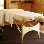 Physical Therapist Office looking for Liscenced Massage Therapist