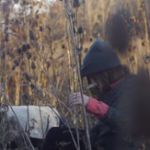 The Bones of your Beliefs