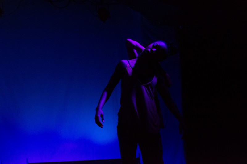 ADC dancers in 2017 Season