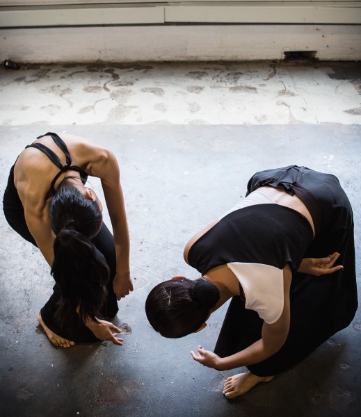 Playscape 2016: diverse performances