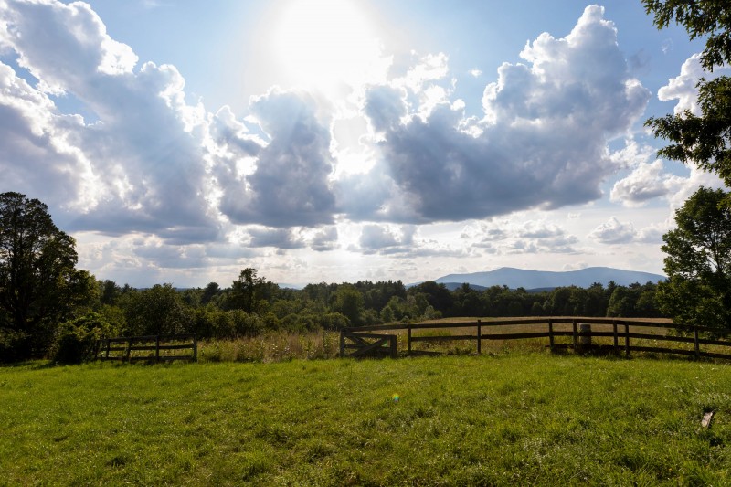 Kaatsbaan 2021 Spring Festival presents American Ballet Theatre, Dorrance Dance, and Mark Morris Dance Group