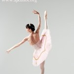 Ajkun Ballet Theatre Chicago Audition Information