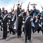 soul tigers marching band