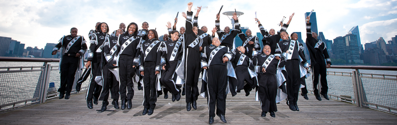 soul tigers marching band