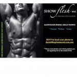 Secret A Male revue show