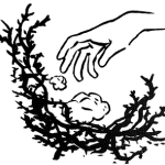 The Woolgatherers Theater Group