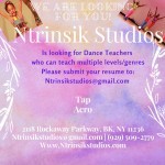 Ntrinsik Studios 