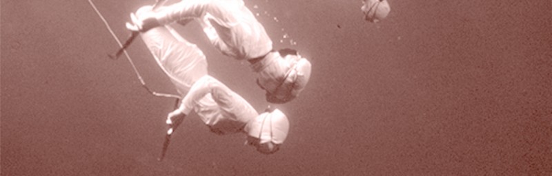 Pearl Divers Logo for Event