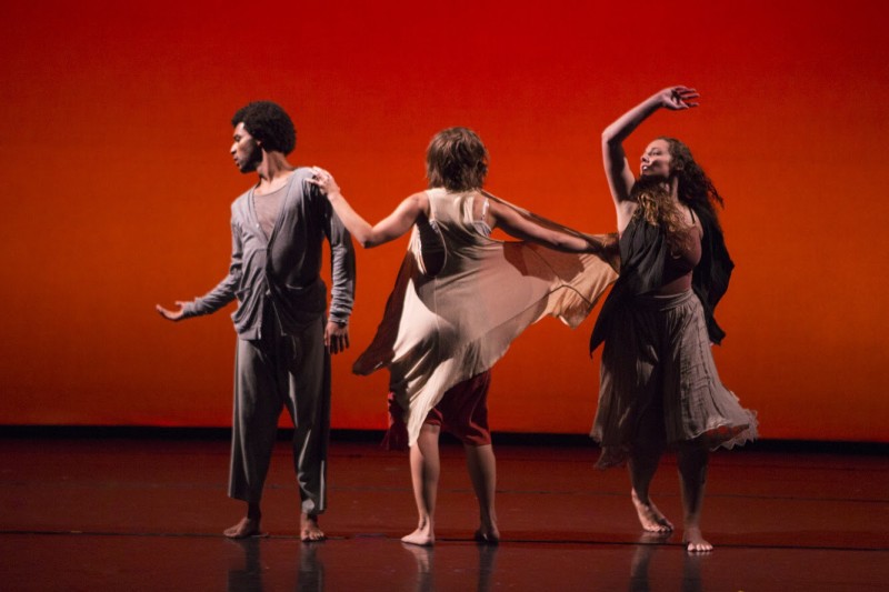 Spaces of Fontana | Dance Collective