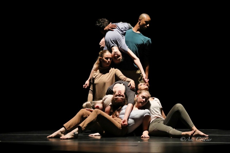 Image of "A Life Not Still" by Tyler Gilstrap