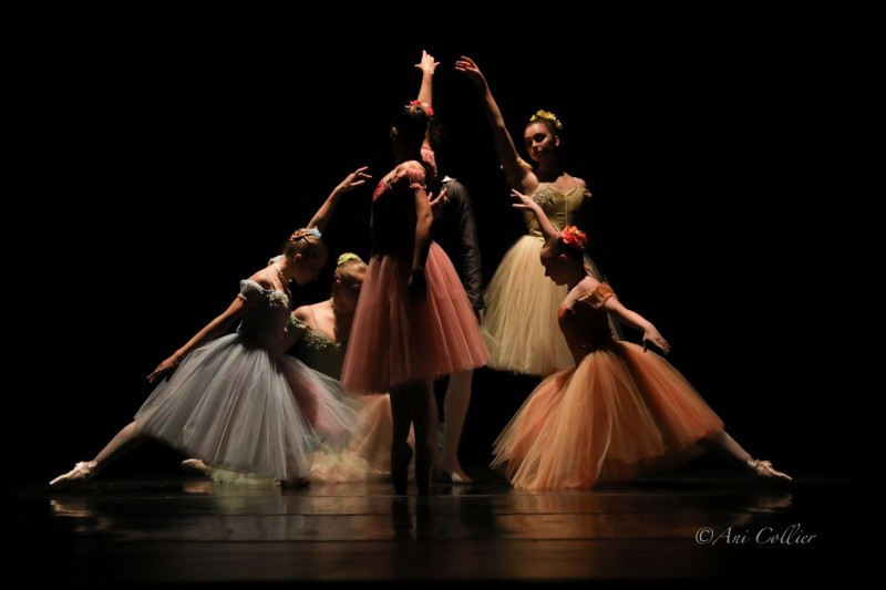 New York Dance Project Logo Thumbnail