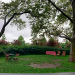 The Craft: Performances & Brews