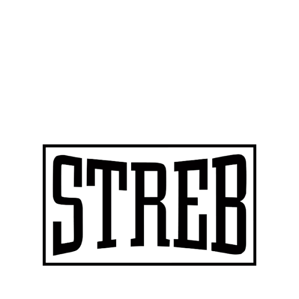 STREB Logo