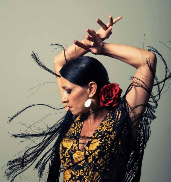Flamenco teacher Juana Cala. Photo of Torso and Side-view Face Profile. Dancer wears red rose, white earrings and Gold/ black.