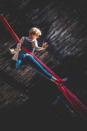 Join the Circus at The Muse Brooklyn!