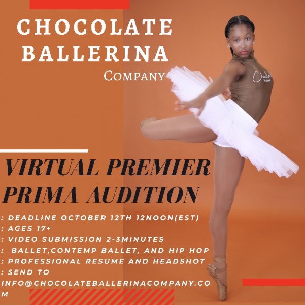 Virtual Audition Instructions 