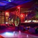 Best Dance Culture!!