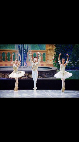 Ballet Performance 