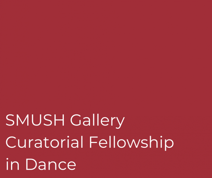 Red rectangle with the words "SMUSH Gallery Curatorial Fellowship in Dance" in white type