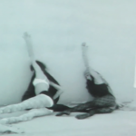 Inspired by the works of Shirin Neshat and Dara Friedman.