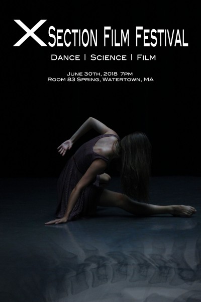 Xsection Film Festival Poster