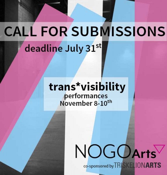 Call for Submisssions trans*visibility 