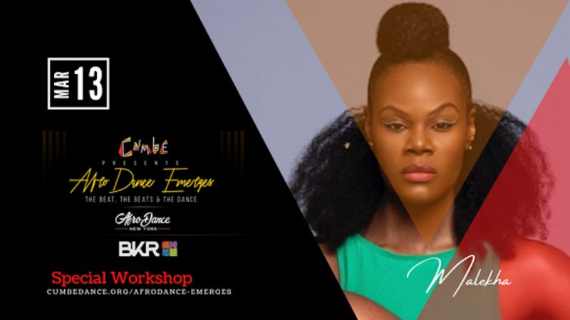 Les Gazelles Africaines II 