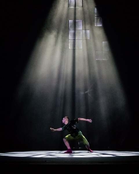 LED's Jabberwock 2019