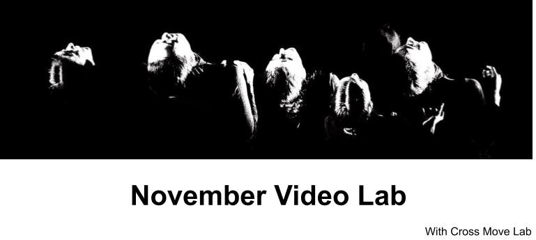 November Video Lab