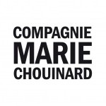 logo of the Compagnie