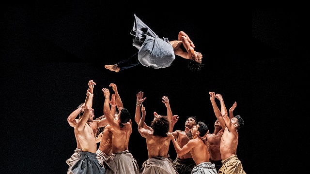 Fall for Dance Festival