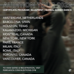 Audition Flyer