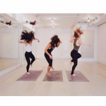 The Class by Taryn Toomey