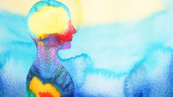 Profile rainbow silouette 