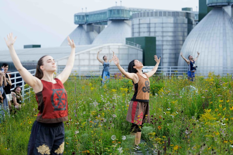Dancers looking to the skies, standing an a wildflower meadow rooftop, a steal plant in the backgroun, hands open to the skies