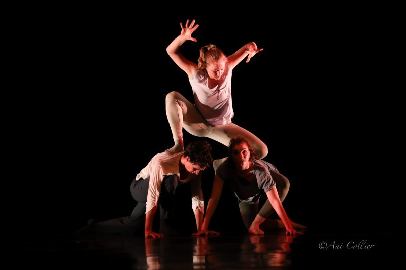 New York Dance Project 