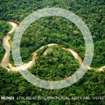 Intrinsic connection between all living entities on the planet