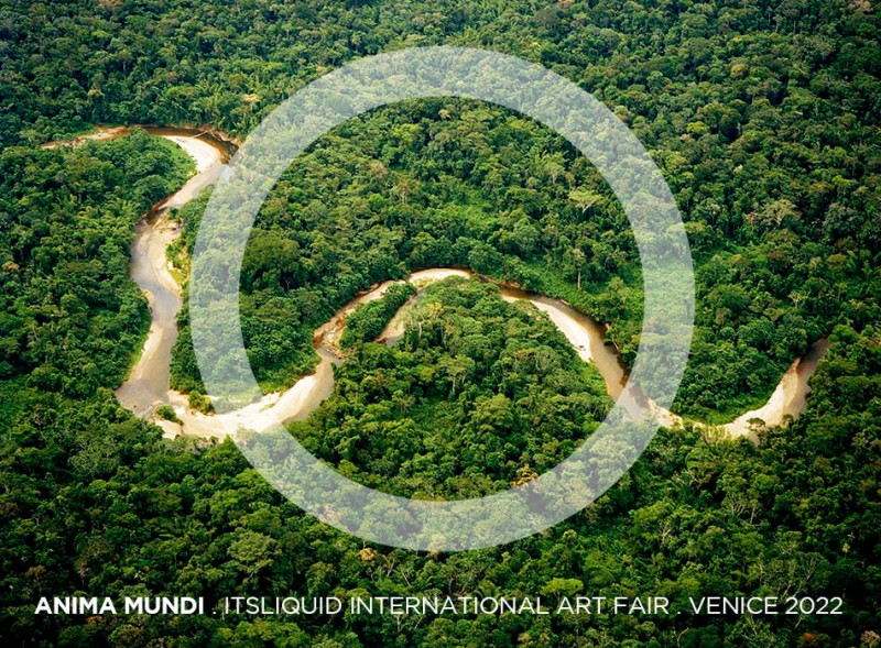 ANIMA MUNDI is an intrinsic connection between all living entities on the planet.