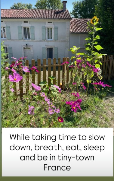 A house surrounded by pink flowers shines in the sunlight