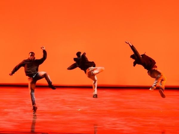 Leaping into the Unknown