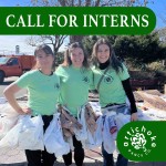 Three people wearing green tshirts and skirts made of recycled plastic bags smile at the camera. text says, "Call for interns"