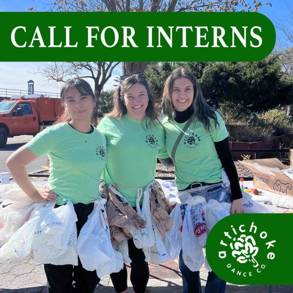 Three people wearing green tshirts and skirts made of recycled plastic bags smile at the camera. text says, "Call for interns"