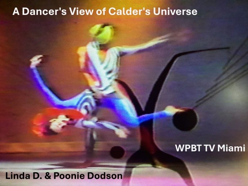 A Dancer s View of Calder's Universe by Diamond