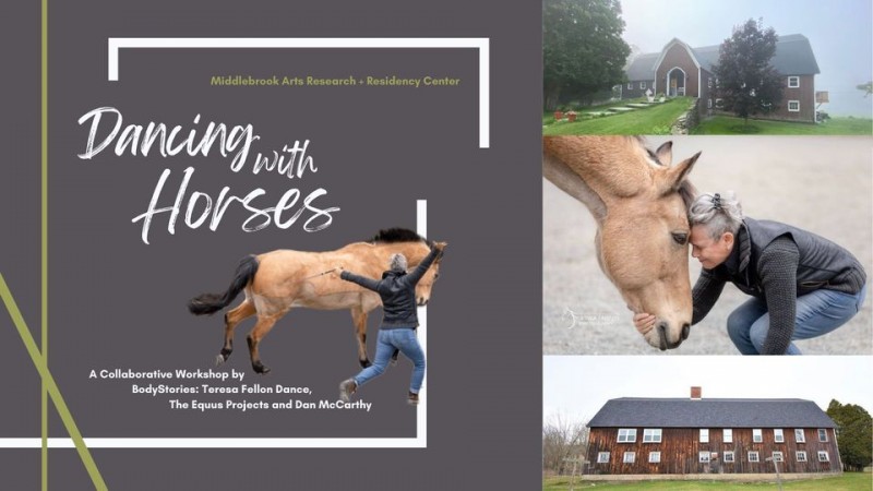 Dancing with Horses. A grey poster background with white font. A cropped photo of JoAnna Mendl Shaw running next to an equine. 